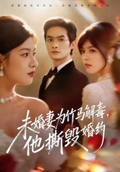 《未婚妻为竹马解毒，他撕毁婚约》