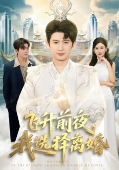 《飞升前夜，我选择离婚》