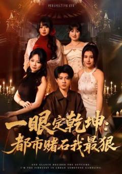 《一眼定乾坤：都市赌石我最狠》