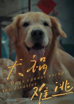 《犬祸难逃》