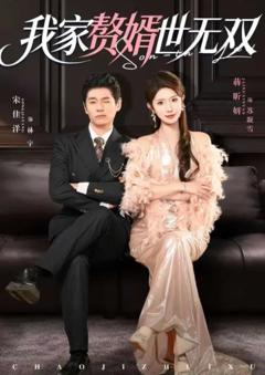 《我家赘婿世无双》