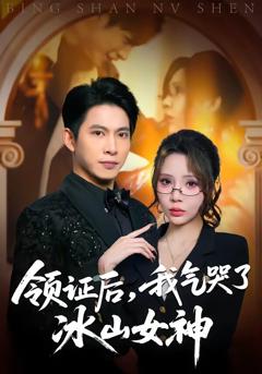 《领证后，我气哭了冰山女神》