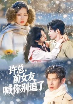 《许总，前女友喊你别追了》