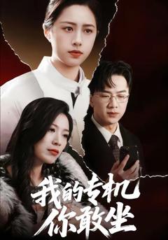 我的专机你敢坐