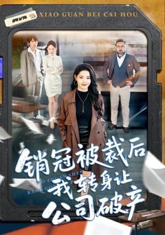 《销冠被裁后我转身让公司破产》
