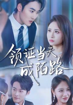 《领证当天成陌路》