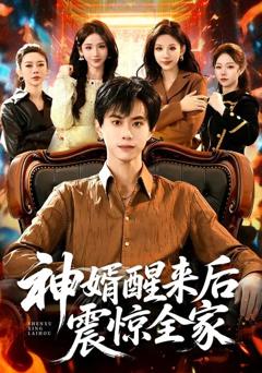 《神婿醒来后震惊全家》