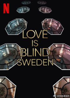 《爱情盲选：瑞典篇第3季》