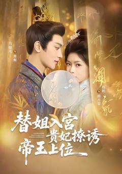 《替姐入宫贵妃撩诱帝王上位》