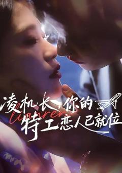 《凌机长，你的特工恋人已就位》