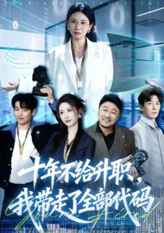 《十年不给升职，我带走了全部代码》