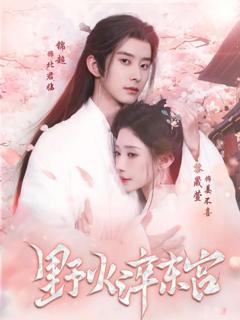 《野火淬东宫》