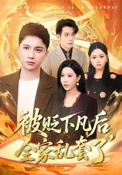 《被贬下凡后全家乱套了》