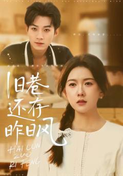 旧巷还存昨日风