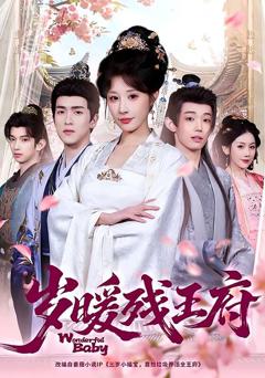 《岁暖残王府》