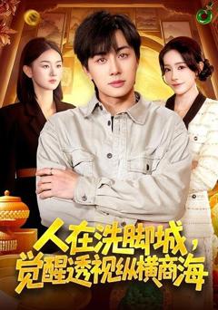 《人在洗脚城，觉醒透视纵横商海》