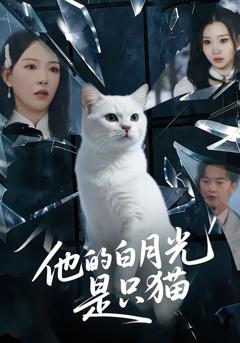 《他的白月光是只猫》