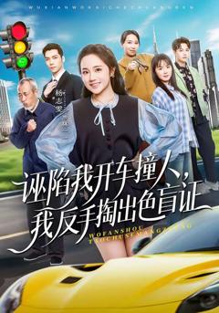 《诬陷我开车撞人，我反手掏出色盲证》