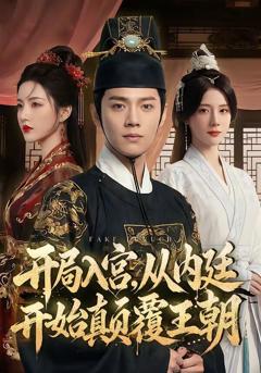 《开局入宫，从内廷开始颠覆王朝》