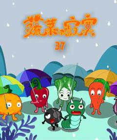 《蔬菜不寂寞第37季》