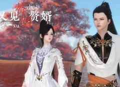 赘婿又见赘婿