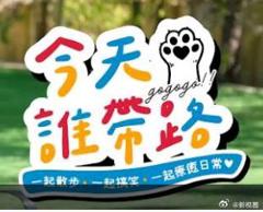 今天谁带路