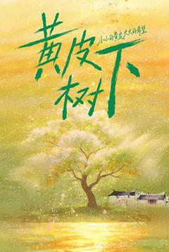 《黄皮树下》